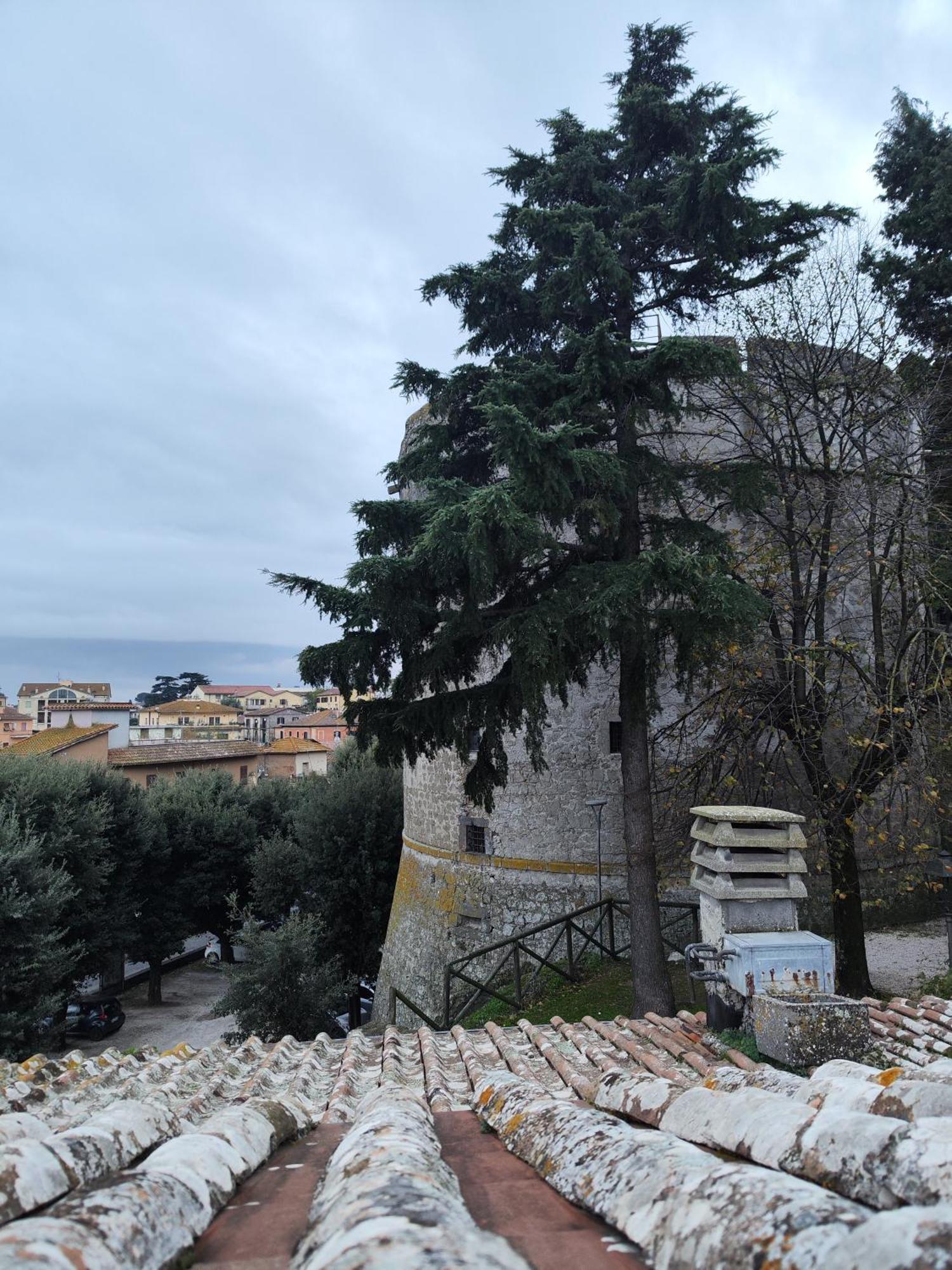 Chalet Romantico Sul Lago Daire Anguillara Sabazia Dış mekan fotoğraf