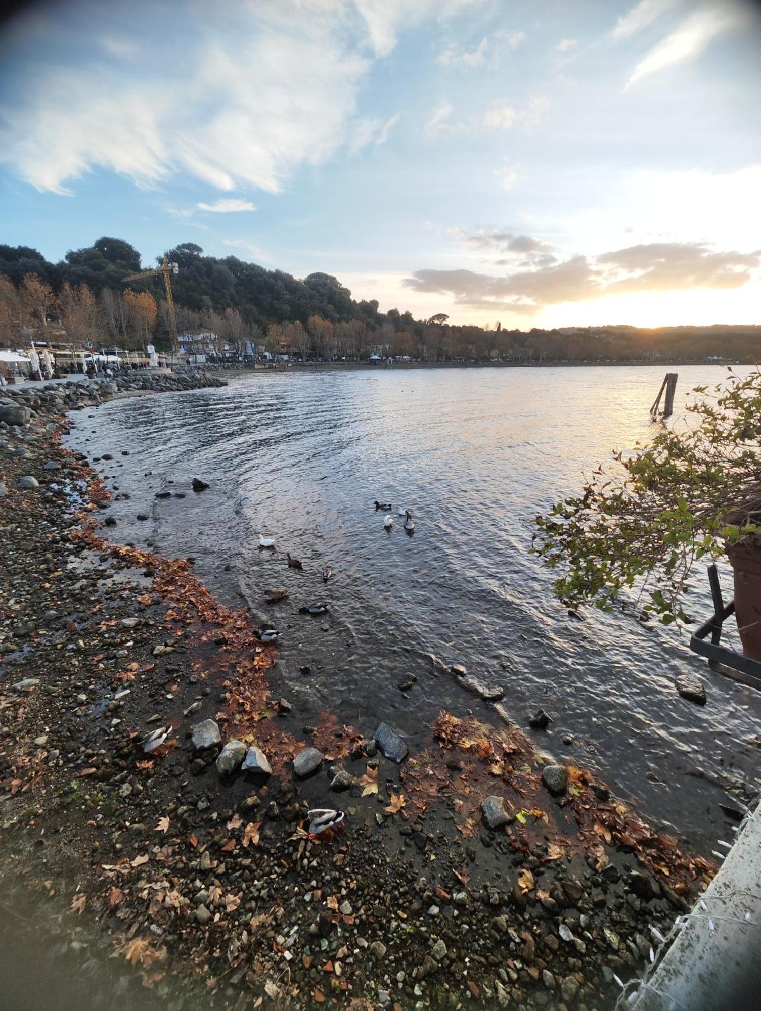 Chalet Romantico Sul Lago Daire Anguillara Sabazia Dış mekan fotoğraf