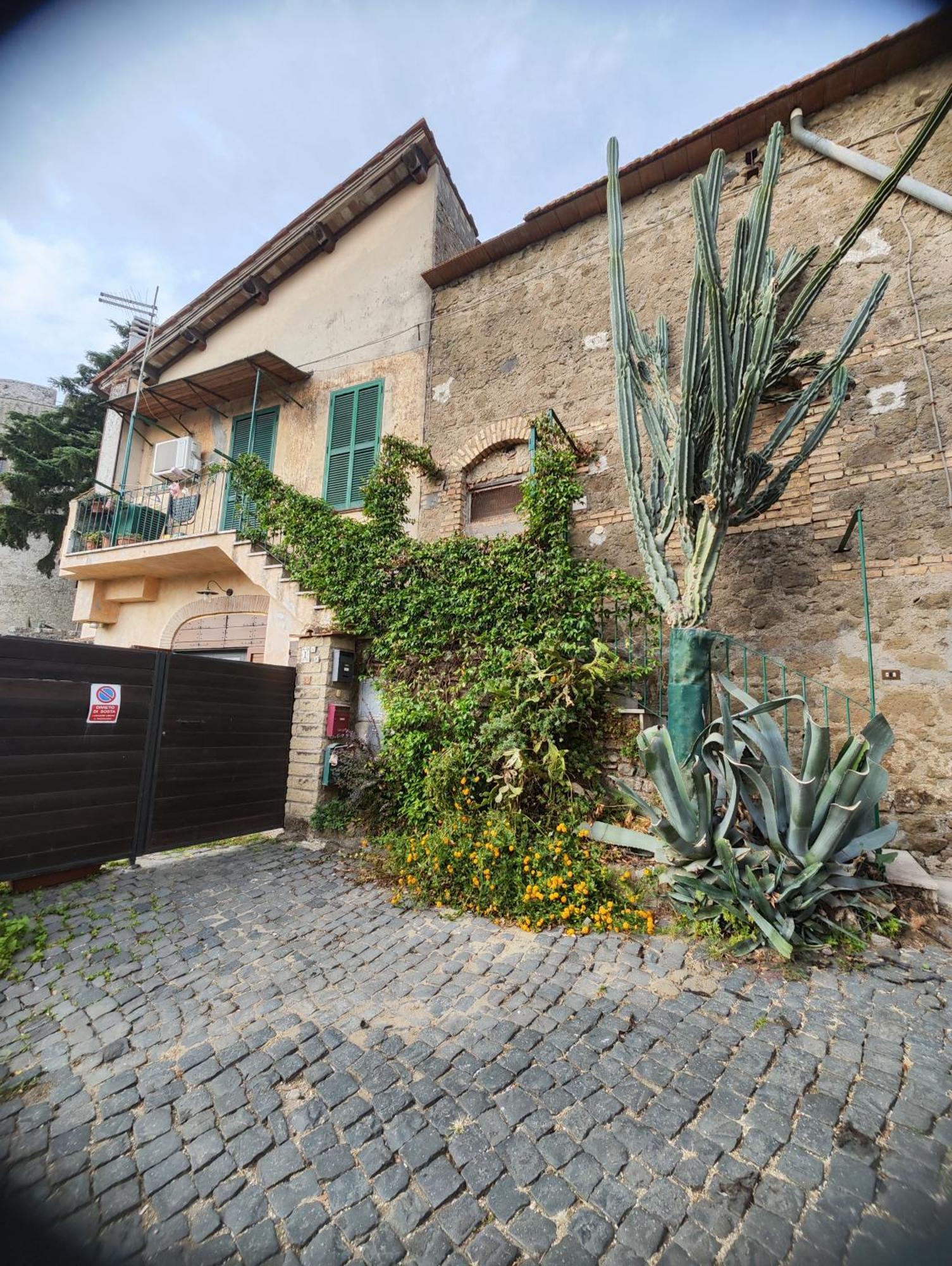 Chalet Romantico Sul Lago Daire Anguillara Sabazia Dış mekan fotoğraf